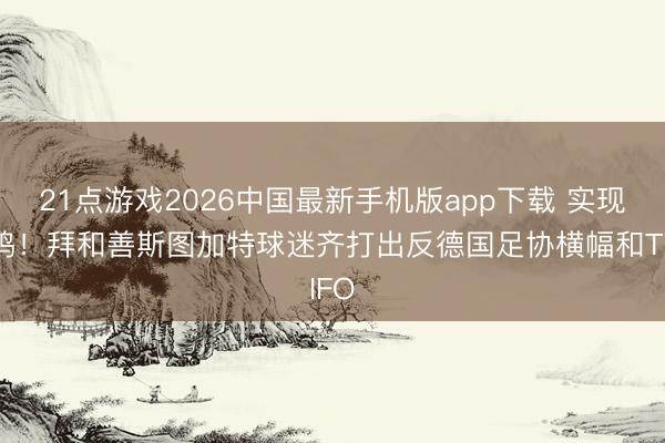 21点游戏2026中国最新手机版app下载 实现共鸣!拜和善斯图加特球迷齐打出反德国足协横幅和TIFO